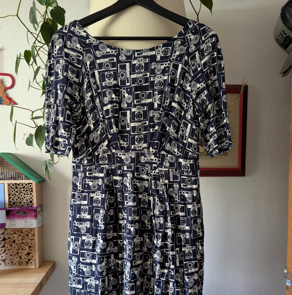 Emily And Fin Cameras Dress